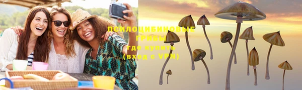 тгк Алексеевка