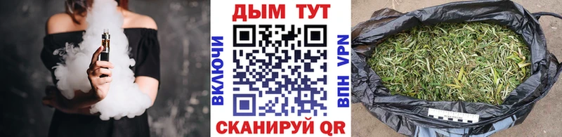 Каннабис Amnesia  Купить  Петушки 